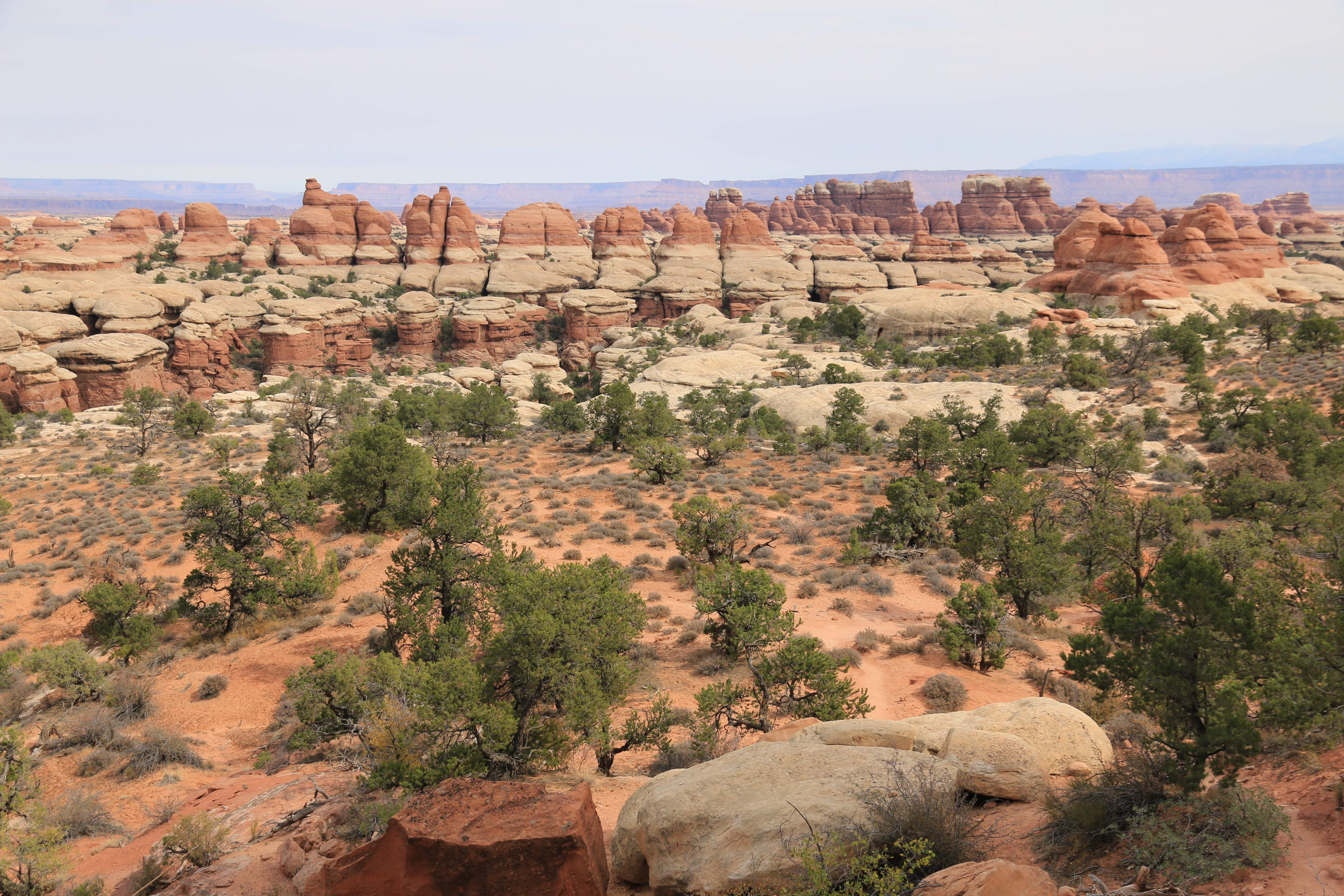 Canyonlands NP